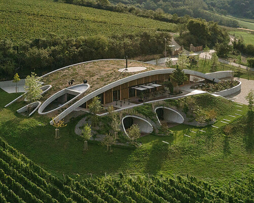 gurdau winery emerges as a ripple in the undulating landscape of kurdějov in czech republic