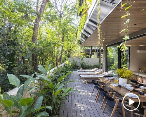 studio saxe hides costa rican surf residences among verdant gardens