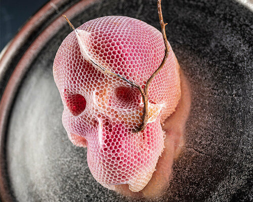 tomáš libertíny works with bees to create 'memento vivere' beeswax skull sculpture series