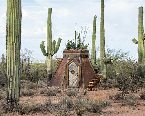 a tiny cabin is shaped by repurposed steel and saguaro bones in the sonoran desert