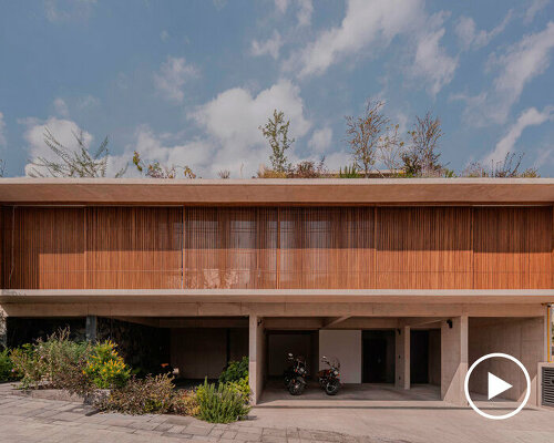 planted terrace tops concrete residence saenz pardo in mexico city