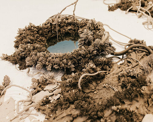 phoebe cummings nods to the ephemeral with sculptural flora made entirely of unfired clay