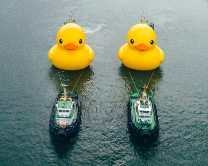 florentijn hofman's inflatable rubber duck gets an identical twin for its return to hong kong