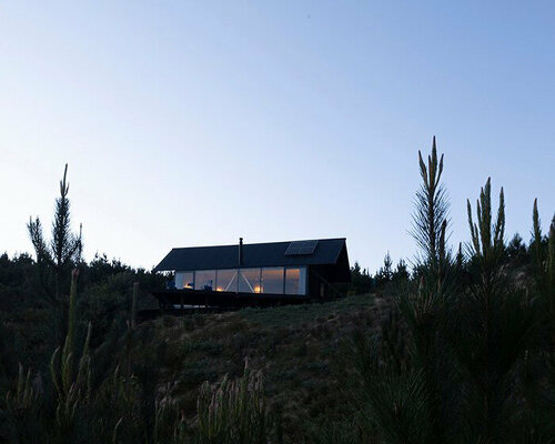 casa chica's transparent facade immerses residents in the serenity of the chilean pine forest 