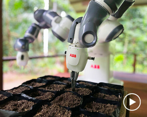 remotely operated robot helps restore amazon rainforest by planting seeds one pot at a time