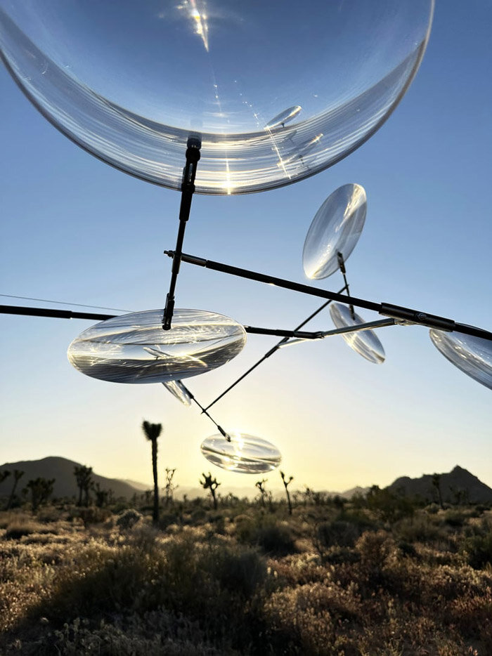 JOSHUA TREE | designboom