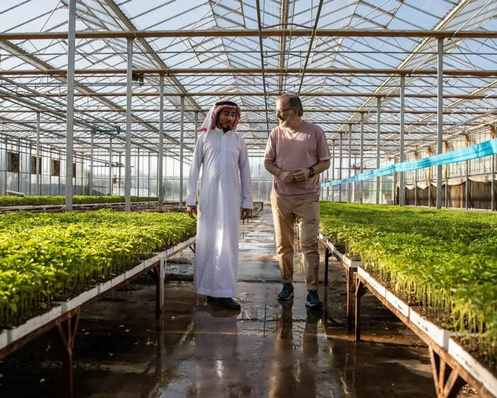 saudi arabia's desert city NEOM will grow its own crops inside dutch greenhouses