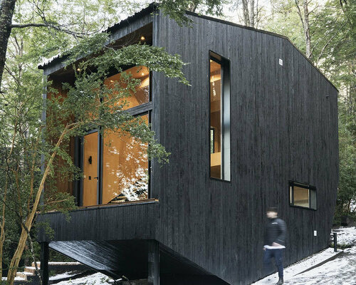 monolithic cabins of charred eucalyptus wood are scattered among patagonia forest