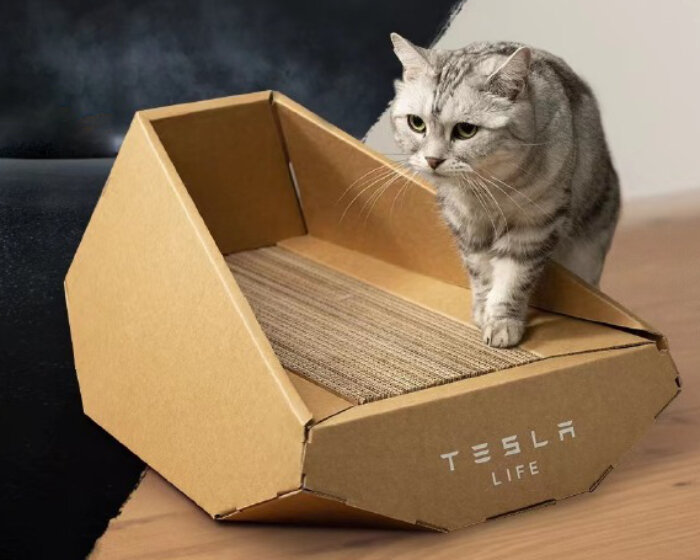 cats get their own tesla cybertruck ahead of the real car's production