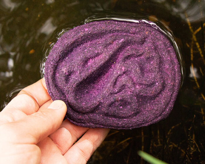 made of red cabbage waste, this bio-tool by melissa ortiz can detect contaminated water