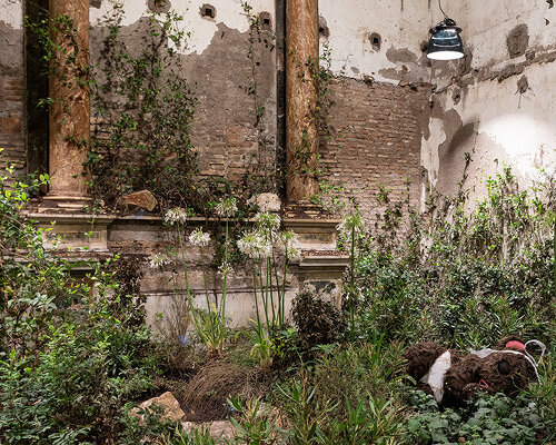 precious okoyomon fills deconsecrated roman church with poisonous flowers and butterflies