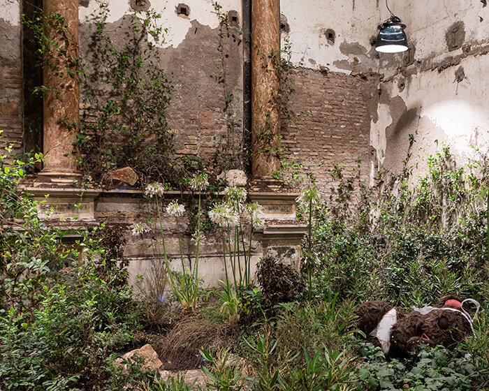 precious okoyomon fills deconsecrated roman church with poisonous flowers and butterflies