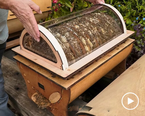 transparent and round beehive lets keepers see the bees and collect honey using a drawer