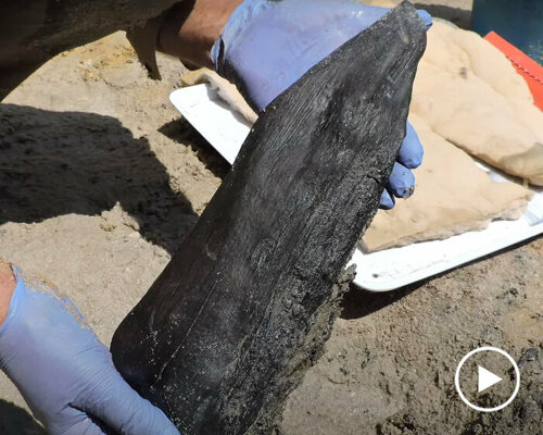 archaeologists discover world’s oldest wood structure in zambia, dating back 476,000 years