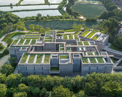 atelier FCJZ tops langtou cultural center with lush lotus garden ponds