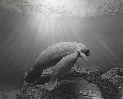 hiroshi sugimoto's photography retrospective explores time and memory at hayward gallery