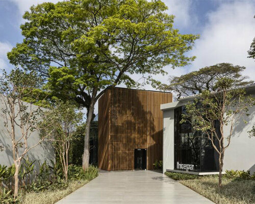 roca's canopy covered são paulo gallery rises as a cultural hub