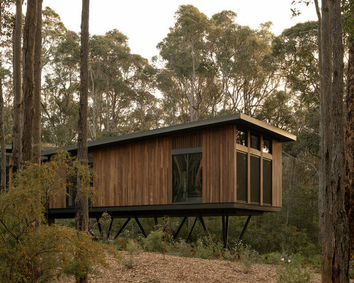 spotted gum-clad 'treehouse' by suzanne hunt floats among australian woods