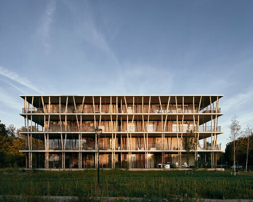 a series of tree trunk columns runs along residential building's facade in the netherlands