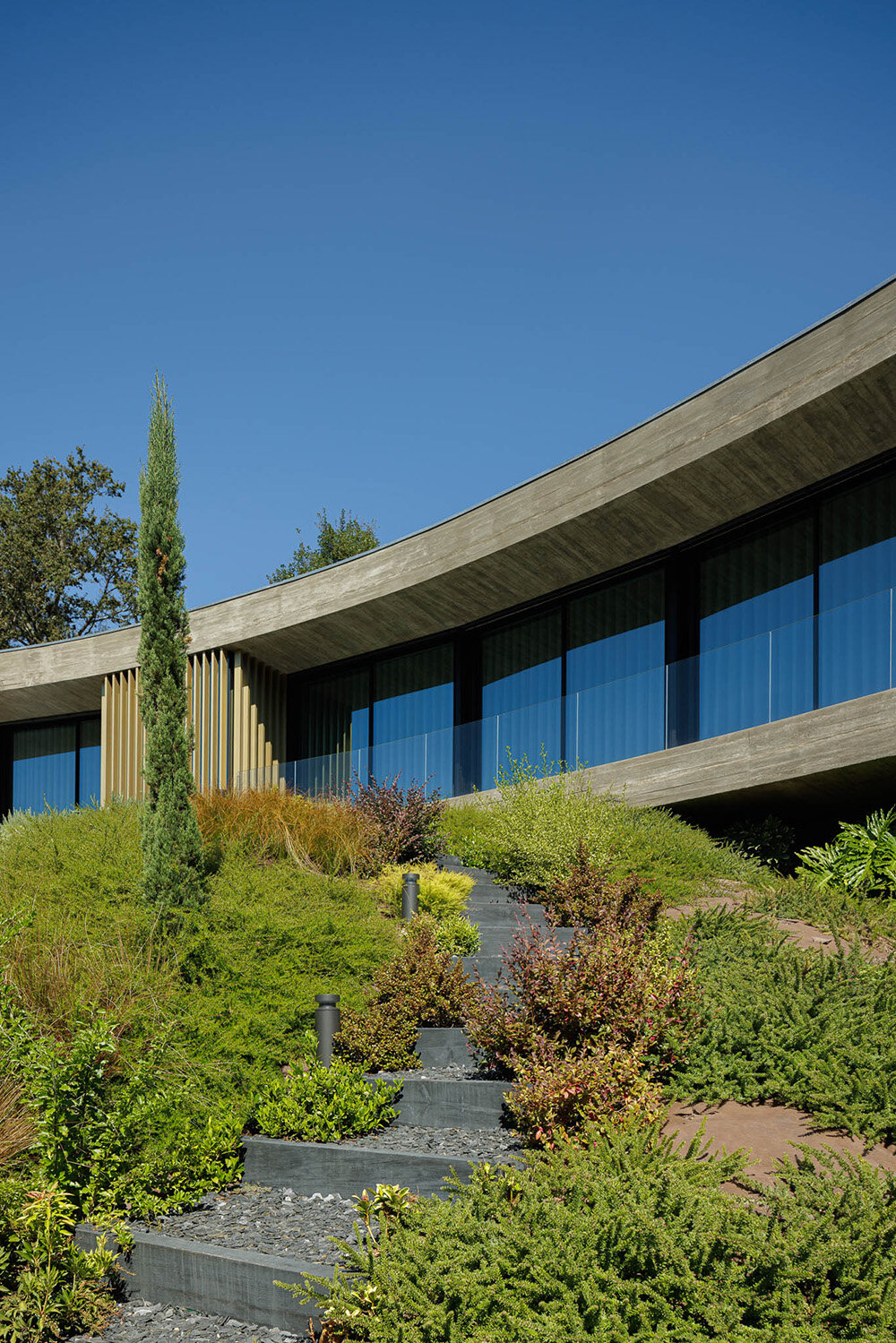 mutant's casa de bouro seemingly hugs the portuguese landscape