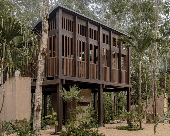 boca de agua hotel by frida escobedo brings floating treehouses to the yucatán jungle