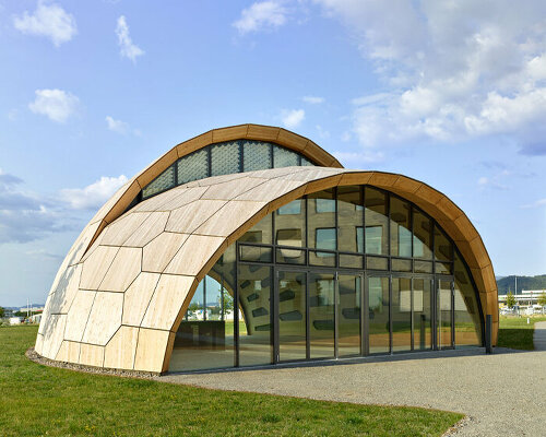 livMatS biomimetic timber shell at freiburg university follows a sea urchin's plate skeleton