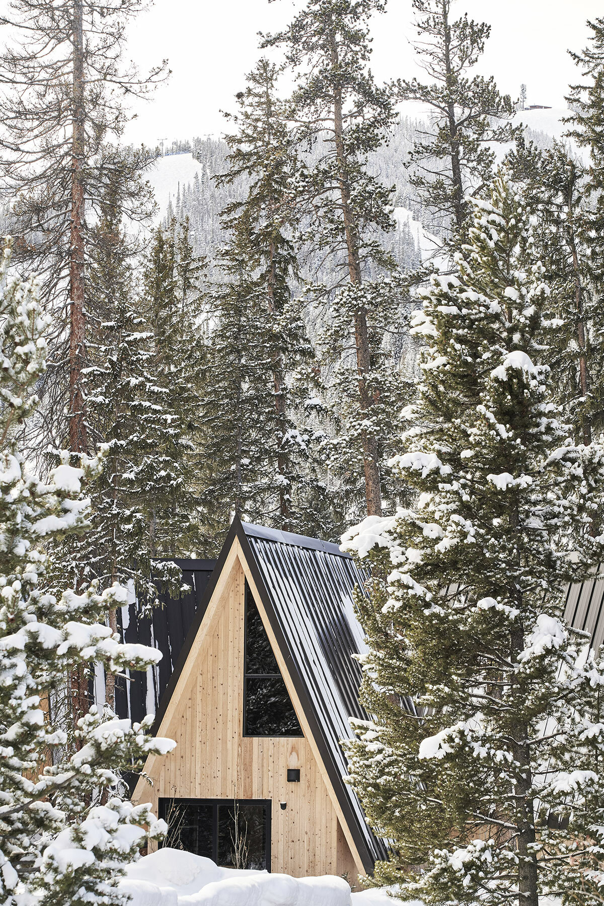 skylab's A-frame club is a cluster of mid-century cabins in colorado