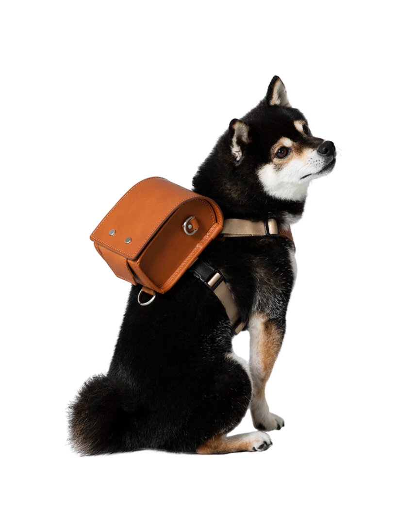 tsuchiya kaban designs leather backpack for dogs so they can carry