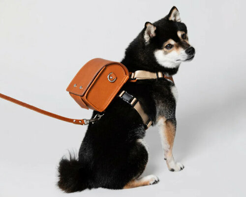 tsuchiya kaban designs leather backpack for dogs so they can carry their own treats and toys