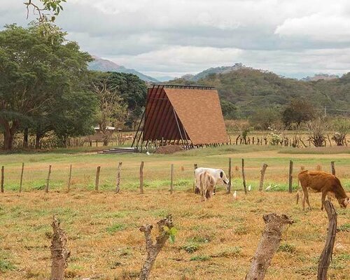 apaloosa's open-air chapel engulfs worshippers in a celestial experience in rural mexico