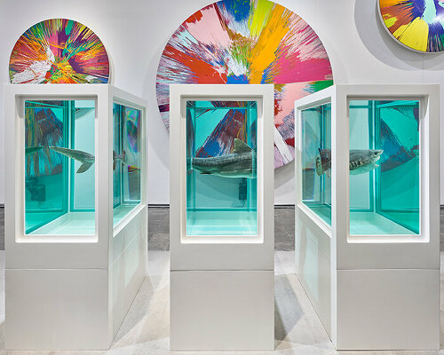 damien hirst's 'the weight of things' explores the interplay of science, life & death at MUCA