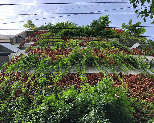 terracotta tile screens clothe residential facade in india with a green curtain