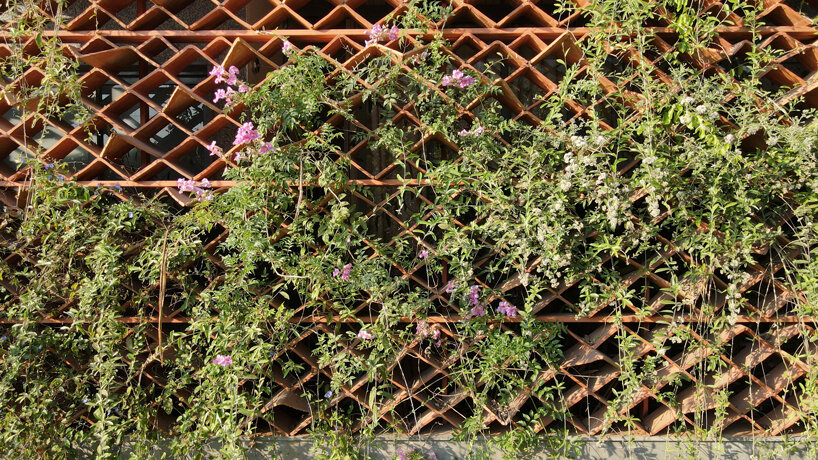 terracotta tile screens clothe residential facade in india with a green ...