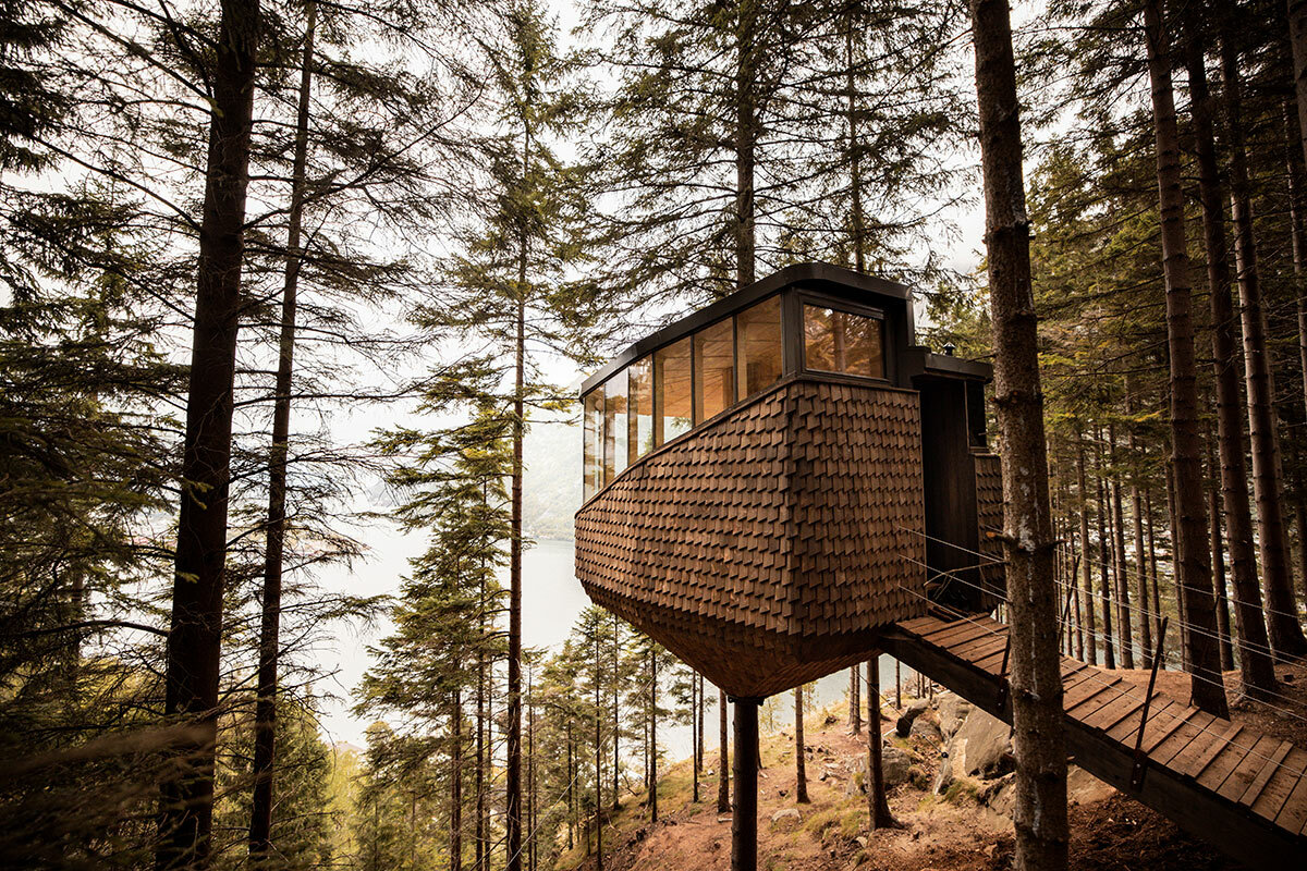 new woodnest treehouses suspended among the norwegian woods