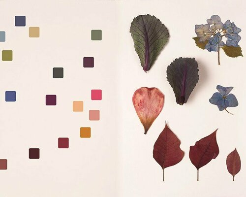 chromatic herbarium book captures a vivid living collection of the hues of nature