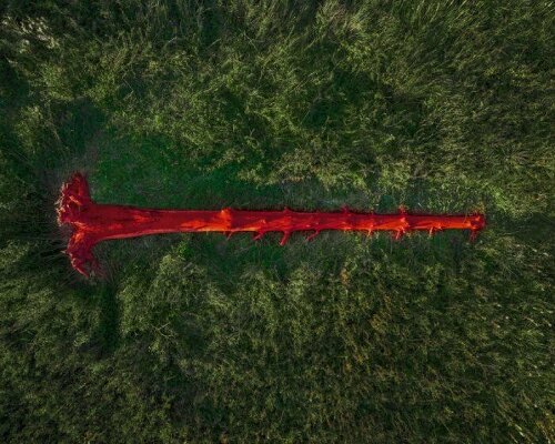 gregory orekhov revives dead spruce tree as vibrant canvas in moscow fields