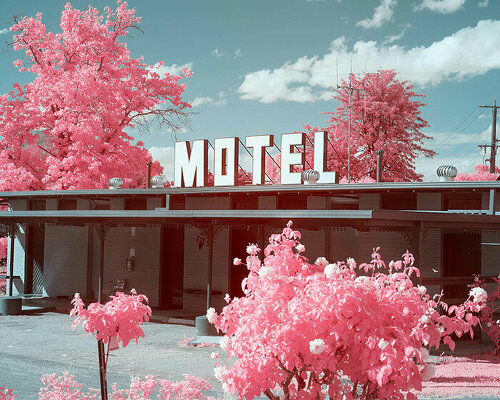 infrared world of bright pink emerges from sean paris' photographic journey across australia