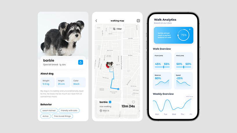 the app analyzes and shows information learned about dog walking