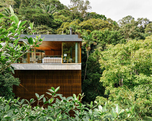 a modern treehouse by DB arquitetos rises from brazil's lush coastal canopies