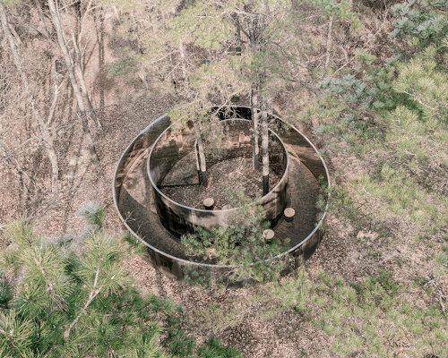 secret forest pavilion's steel structure spirals around three trees in south korea