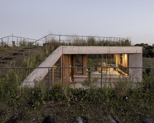 ZIM arquitextura's grass-topped arena house adapts to the dunes of coastal argentina