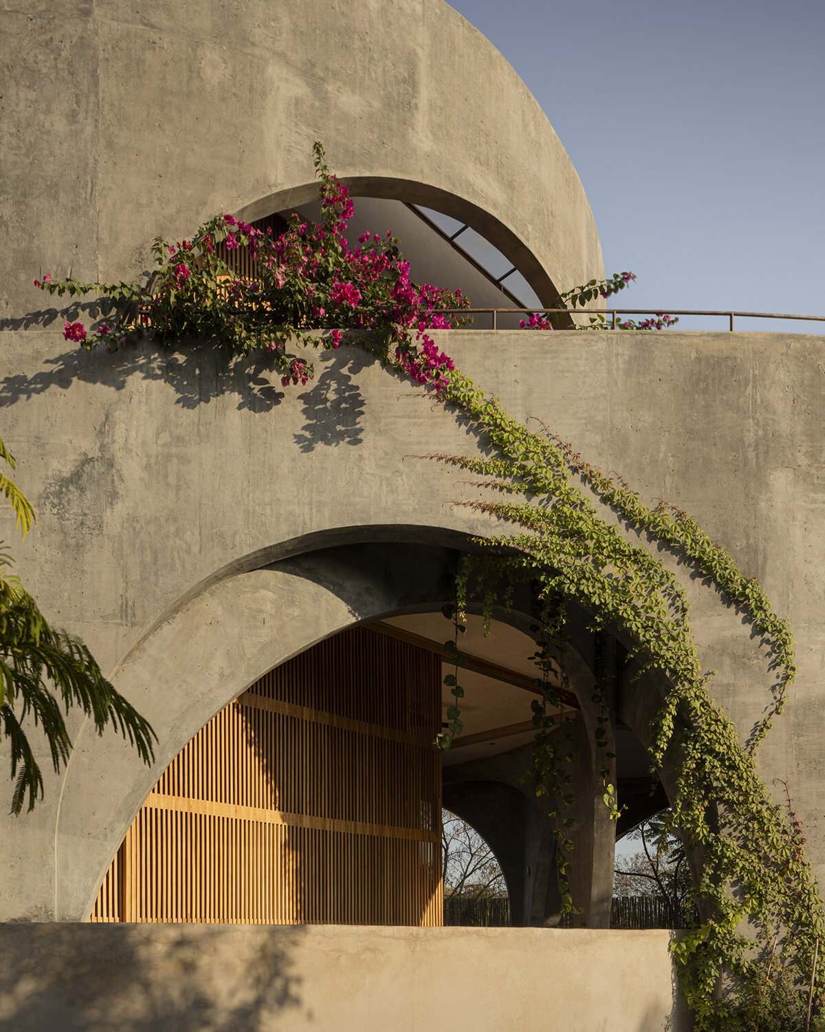 estudio carroll's 'toro house' embraces oaxacan coast with arches and ...