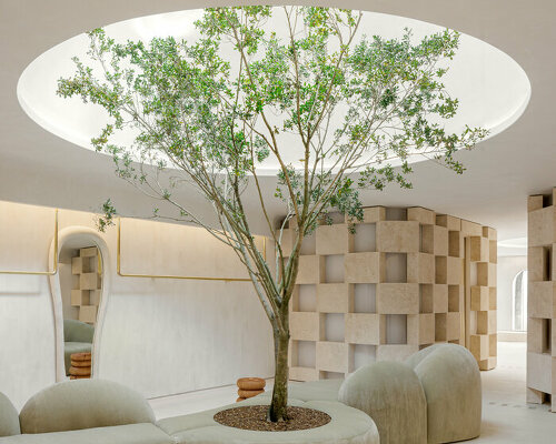 soaring sculpture and banyan tree pierce through the oculi of cult gaia's miami flagship store