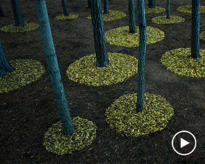 'sculpting this earth' captures land art by strijdom van der merwe over four seasons