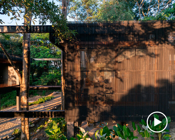 timber-clad residence settles on stilts within raintree forest in thailand