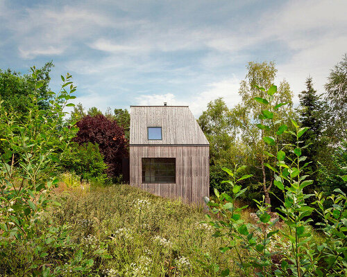 timber-clad cottage jaro by edit! interacts with forest sloping site in the czech republic