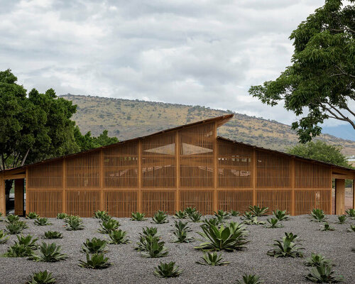 estudio ALA designs a sustainable mezcal distillery in jiquilpan, mexico