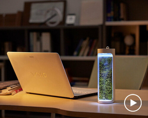 mosslab's desktop-sized humidifier & purifier turns dry air into moisture-rich environments