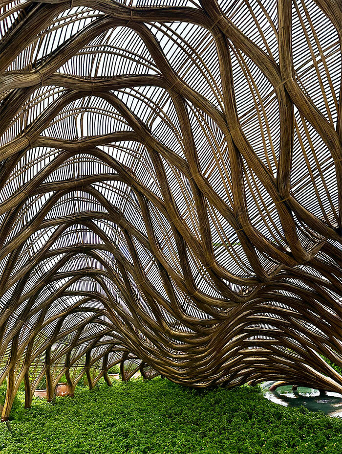 BAMBOO | designboom