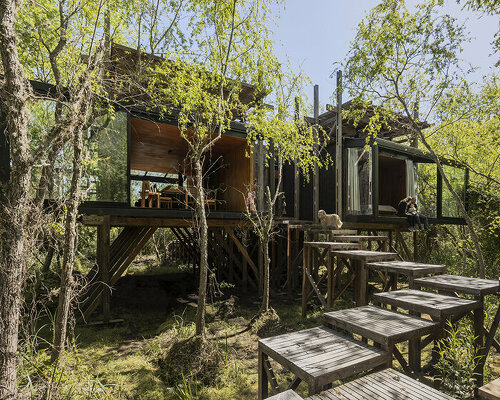 like its namesake dragonfly, casa libélula floats over a river delta in argentina